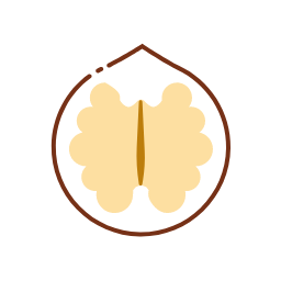 Walnut Icon, walnut,nut