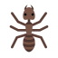 Ant Icon, animal,ant,insect