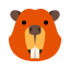 Beaver Face Icon, beaver,animal,mammal