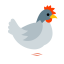 Chicken Icon, chicken,bird,animal