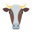 Cow Head Icon, animal,cow,mammal