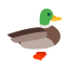 Duck Icon, animal,bird,duck