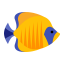 Fish Icon, fish,marine,animal