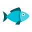 Fish Food Icon, fish,food,animal