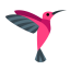 Hummingbird Icon, animal,bird,hummingbird