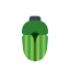 Insect Icon, animal,bug,insect