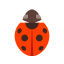 Ladybird Icon, animal,insect,ladybird