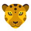 Leopard Head Icon, leopard,animal,mammal