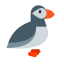 Puffin Bird Icon, animal,bird,puffin