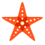 Starfish Icon, animal,marine,starfish