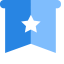 Star - Shaped Icon, star,duo - color