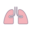 Lungs (Breathing) Icon, lungs,breathing