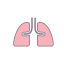 Lungs (Breathing) Icon, lungs,breathing