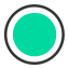 Selected Circle Icon, circle,selected circle