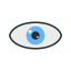 View Icon, view,eye,web