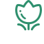 Fresh - Cut Flower Icon, fresh - cut flower,plant