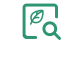 Search Icon, search,plant
