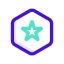 Featured Star Hexagon Icon, featured,hexagon,star