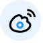 Weibo Icon, Weibo,social media