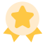 Standard Icon 2 - 24 Icon, star,standard