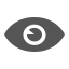 Standard Icon 2 - 58 Icon, eye,view