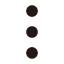 More Dots (Vertical) Icon, more,options
