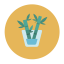 Bamboo Plant Icon, bamboo,plant