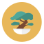 Plant Icon, plant,bonsai