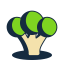 Cauliflower Icon, cauliflower,vegetable