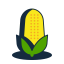 Corn Icon, corn,grain