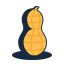 Peanut Icon, nut,peanut