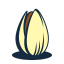 Pistachio Icon, nut,pistachio