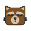 Rocket Raccoon Avatar Icon, Marvel,Rocket Raccoon,avatar
