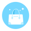 Bag Icon, accessory,bag,spring bag