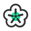 Flash Sale of Flower Materials Icon, flower materials,flash sale