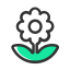 Flower Icon, flower,plant