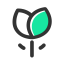 Preserved Flower Icon, preserved flower,flower