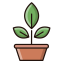 Botany Icon, botany,plant,pot