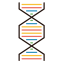 DNA Icon, DNA,genetics,helix