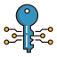 Electronic Key Icon, circuits,electronic key,key