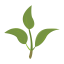 3D Growth Simulation Icon, 3D,growth,simulation