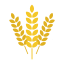 Wheat Options Icon, wheat,options,agriculture