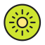 Dried Kiwifruit Icon, dried kiwifruit,fruit,snack