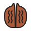 Walnut Icon, nut,snack,walnut