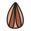 Walnut - flavored Sunflower Seeds Icon, sunflower seeds,snack,walnut flavor