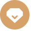VIP Lounge Icon, VIP lounge,shield