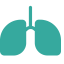 Internal Medicine Department Icon, internal medicine,department,lungs