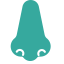 Otolaryngology Department Icon, otolaryngology,department,nose