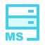MS Database Icon, MS,database