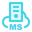 MS Server Host Icon, MS,host,server